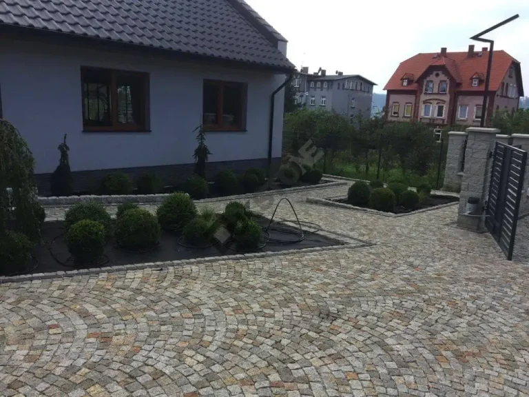 Zdjęcie z galerii